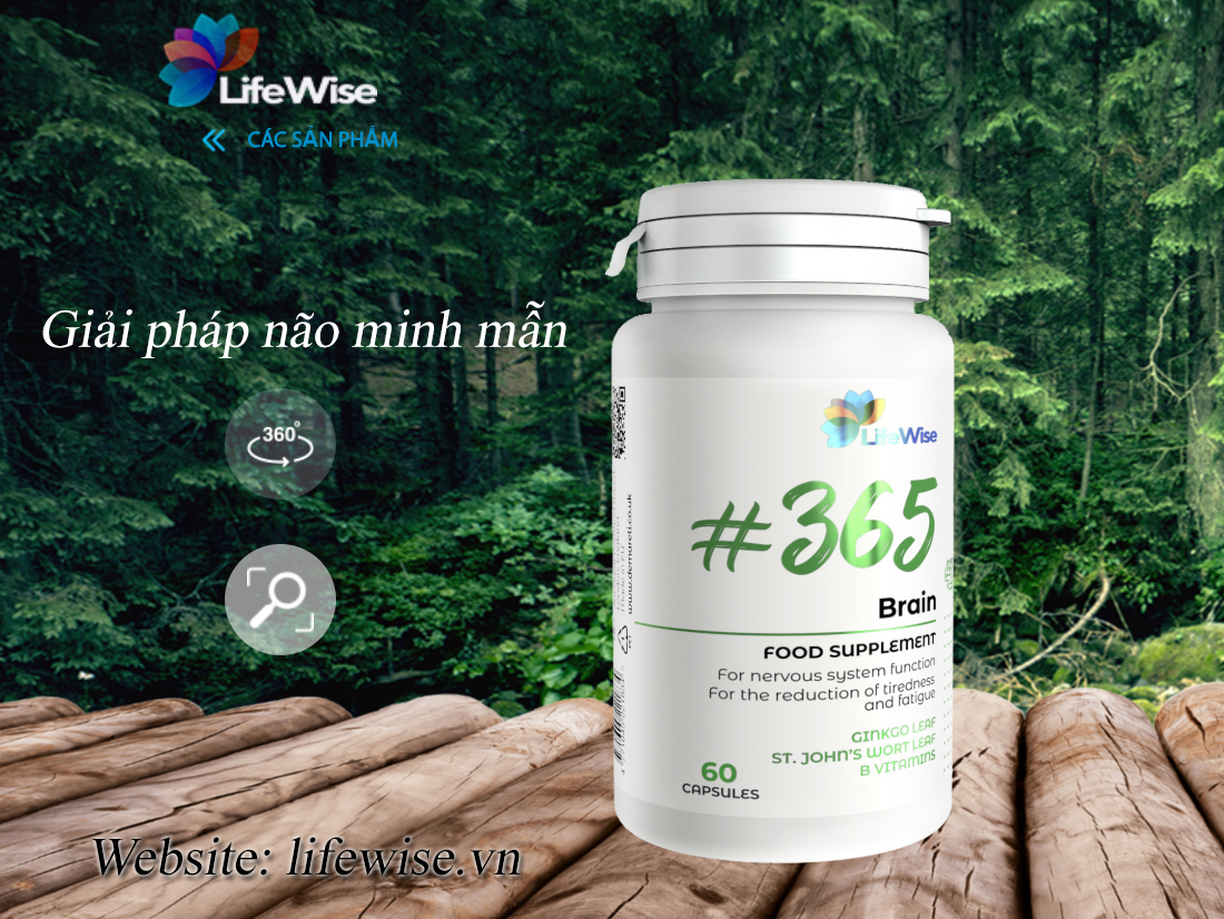 LifeWise #365 Brain | Cải thiện chức năng não, giảm căng thẳng