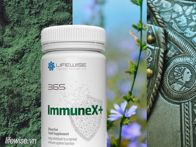  LifeWise 365 ImmuneX+ kích hoạt khả năng miễn dịch