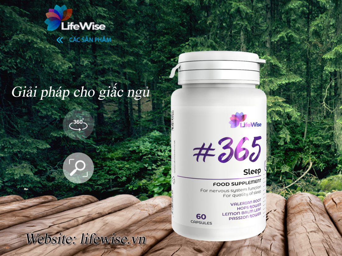 LifeWise #365 Sleep | Giải quyết các vấn đề về giấc ngủ